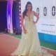 Multilingual Emcee Reena Dsouza hosts Karnataka Bank & PNB MetLife 15 years celebration event in Goa